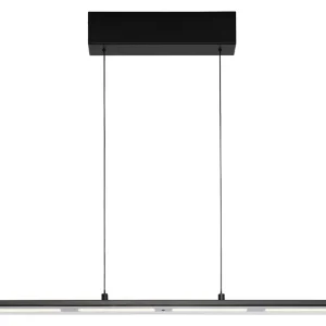 LED-Pendelleuchte YOYO Sofort Bestellen
