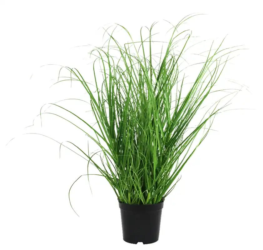 Ausverkauf Kunstpflanze Grasbusch H 40 cm NARVIK