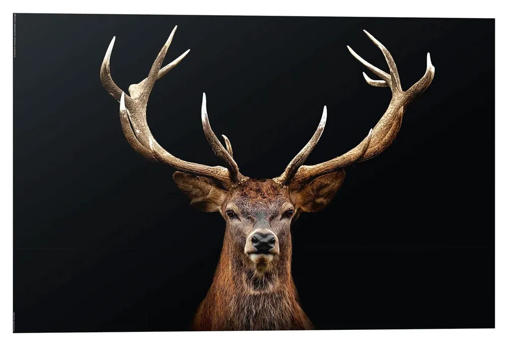 Wandbild KALINA Begrenztes Angebot
