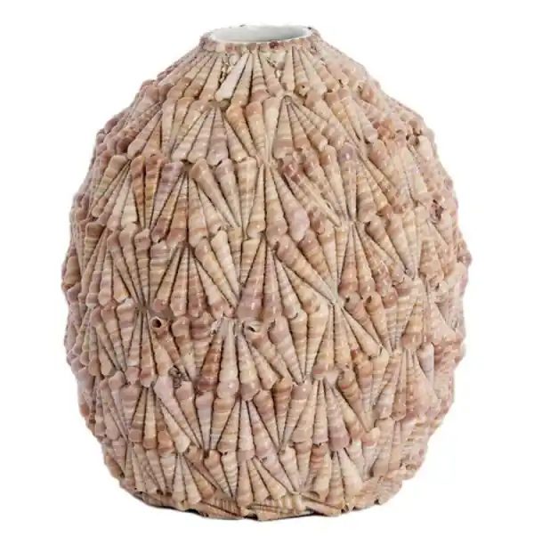 Knallerangebot Light & Living Vase Shell Muscheln Sand Taupe (37cm)