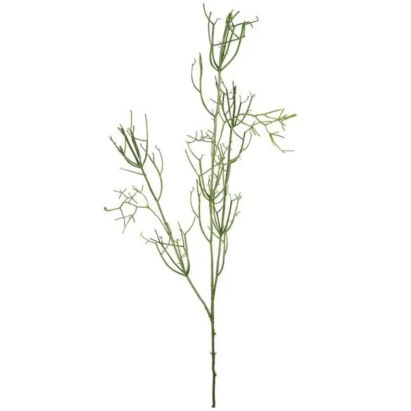 Fink künstlicher Rhipsalis Zweig (125cm) Angebot
