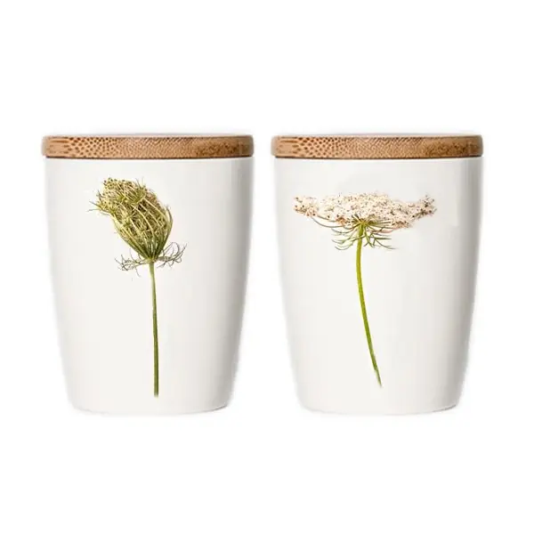 Heute Kaufen Simply Flowers Tasse Wilde Möhre (Klein)
