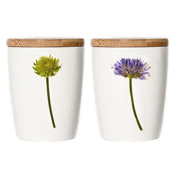 Simply Flowers Tasse Berg Sandglöckchen (Groß) Original
