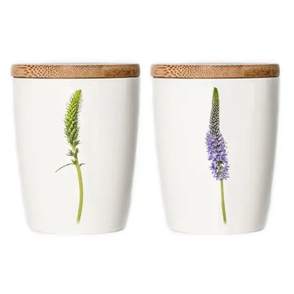 Simply Flowers Tasse Ehrenpreis (Groß) Abverkauf