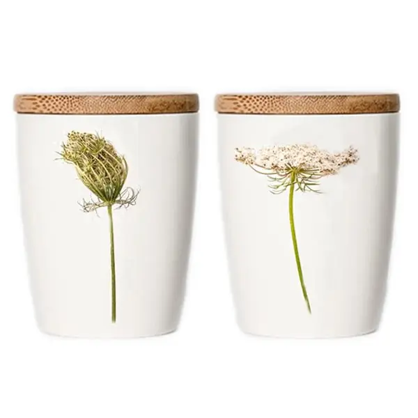 Simply Flowers Tasse Wilde Möhre (Groß) Exklusiv