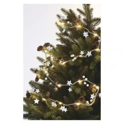 Sichere Zahlung EMOS DCGW04 LED Weihnachten Girlanda - Zapfen 1,7 m 12w | 2xAA - warmweiß, weiß