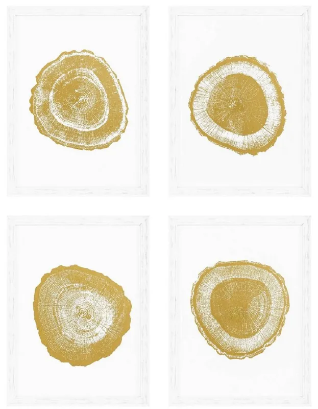 Casa Padrino Luxus Bilder Set Baumscheiben Jahresringe Weiß / Gold 61,5 x H. 82 cm - Kunstdrucke - Wandbilder - Wanddeko - Deko Accessoires Heißes Angebot