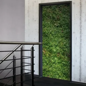 Jetzt Bestellen Tür 2.0 XXL Wallpaper für Türen 20027 Grassland - selbstklebend- Blickfang für Ihr zu Hause - Tür Aufkleber Tapete Fototapete FotoTür 2.0 XXL Vintage Antik Stil Retro Wallpaper Fototapete