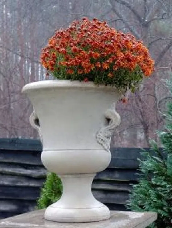 Casa Padrino Barock Garten Deko Blumentopf Grau Ø 54 x H. 77 cm - Prunkvoller Pflanzentopf im Barockstil - Barock Garten & Terrassen Deko Accessoires Jetzt Zugreifen